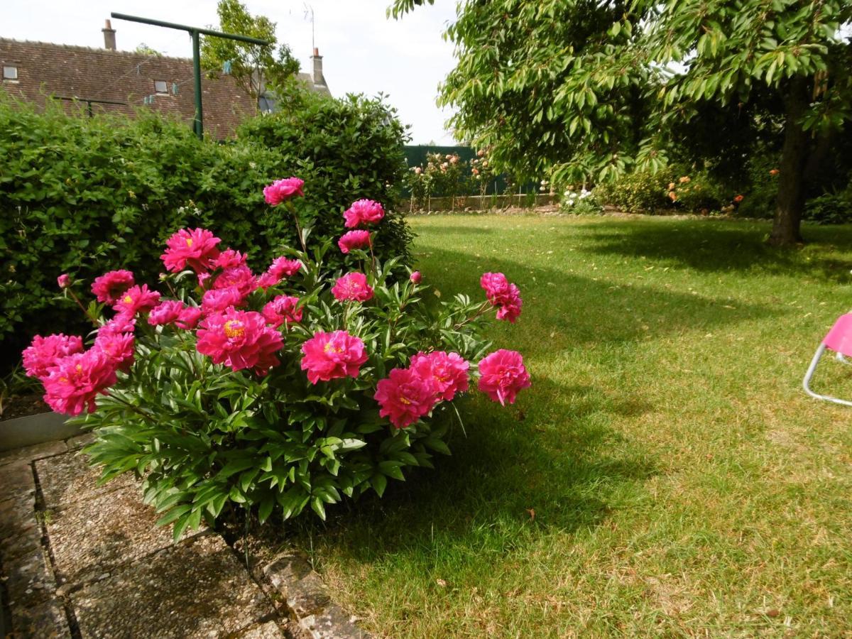 La Musardiere Auzouer-en-Touraine Экстерьер фото